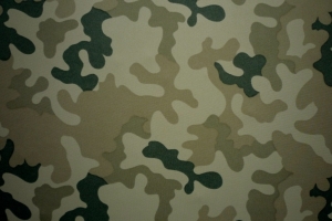 CORDURA PANTERA WZ.93 PUSTYNNA